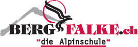 logobildmarke_bergfalkealpin_pantone_kopie.jpg